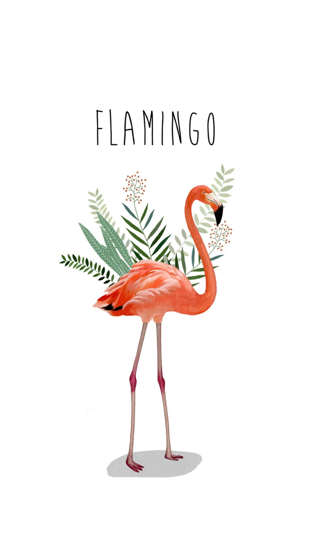 iPhone壁纸 插画师：JiyoungPark