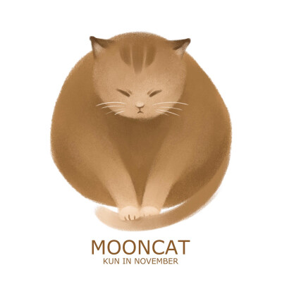 mooncat——致宿舍楼下的各位肥猫大爷们