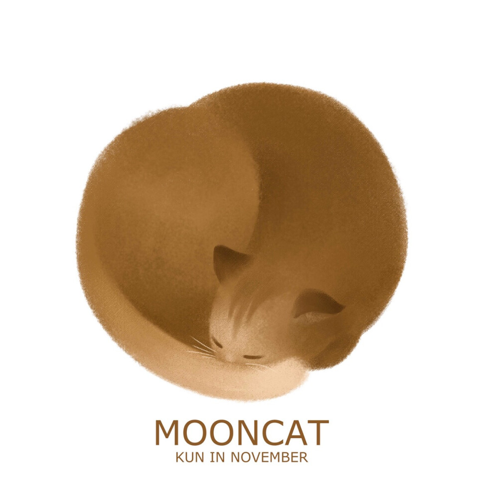 mooncat——致宿舍楼下的各位肥猫大爷们