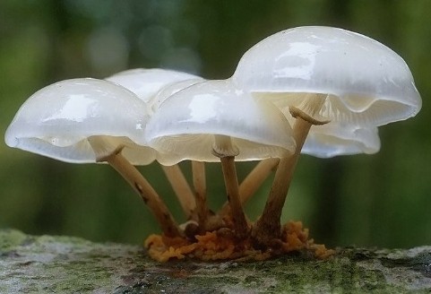 有一点儿蓝瘦，但一点儿都不香菇！美到骨子里了！！