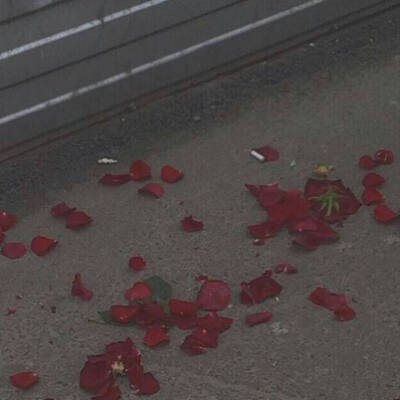 我还是很喜欢你
像鲸沉于海底温柔呼吸
痴极嗔极