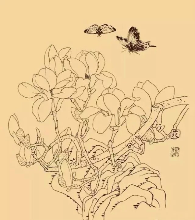 玉兰，又名木兰、白玉兰等，颜色雅洁如玉，馨香浓重似兰，外形极像兰花，是历代中国画中的觉题材。玉兰为早春之花，先叶而开，象征春天及美好的事物，反映人们对美好事物的追求和对完美的向往。