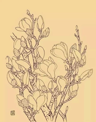 玉兰，又名木兰、白玉兰等，颜色雅洁如玉，馨香浓重似兰，外形极像兰花，是历代中国画中的觉题材。玉兰为早春之花，先叶而开，象征春天及美好的事物，反映人们对美好事物的追求和对完美的向往。