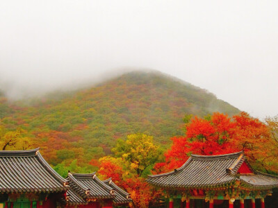 雨雾天 游梵鱼寺 雾的出现，也把这一切相衬的美好