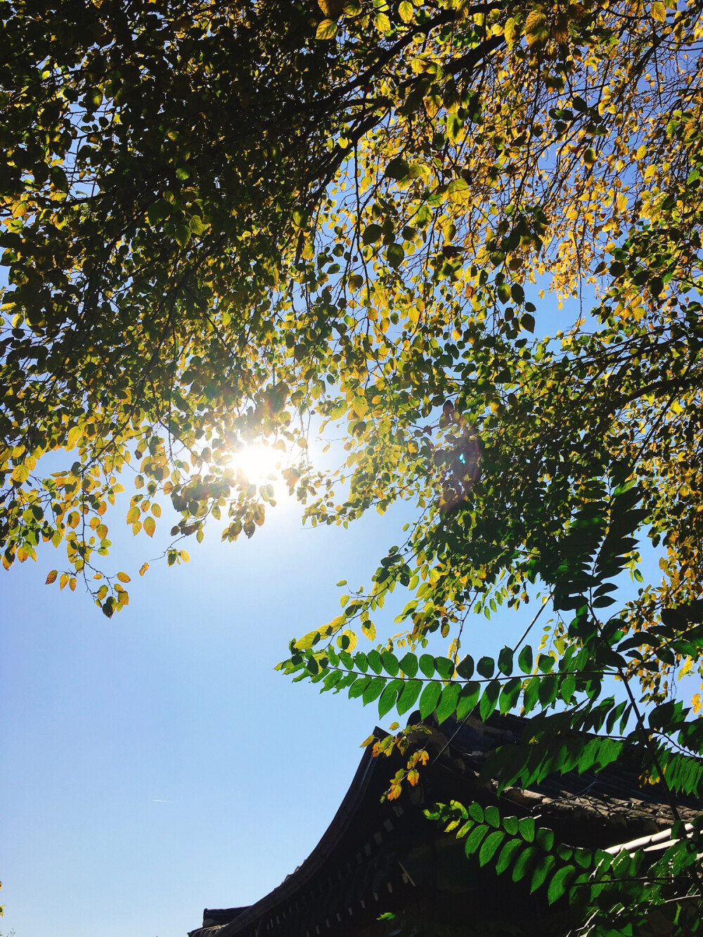 北村韩屋村 当天天气好好