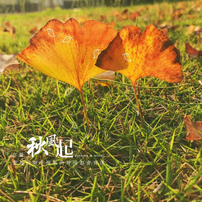 杭州的秋天