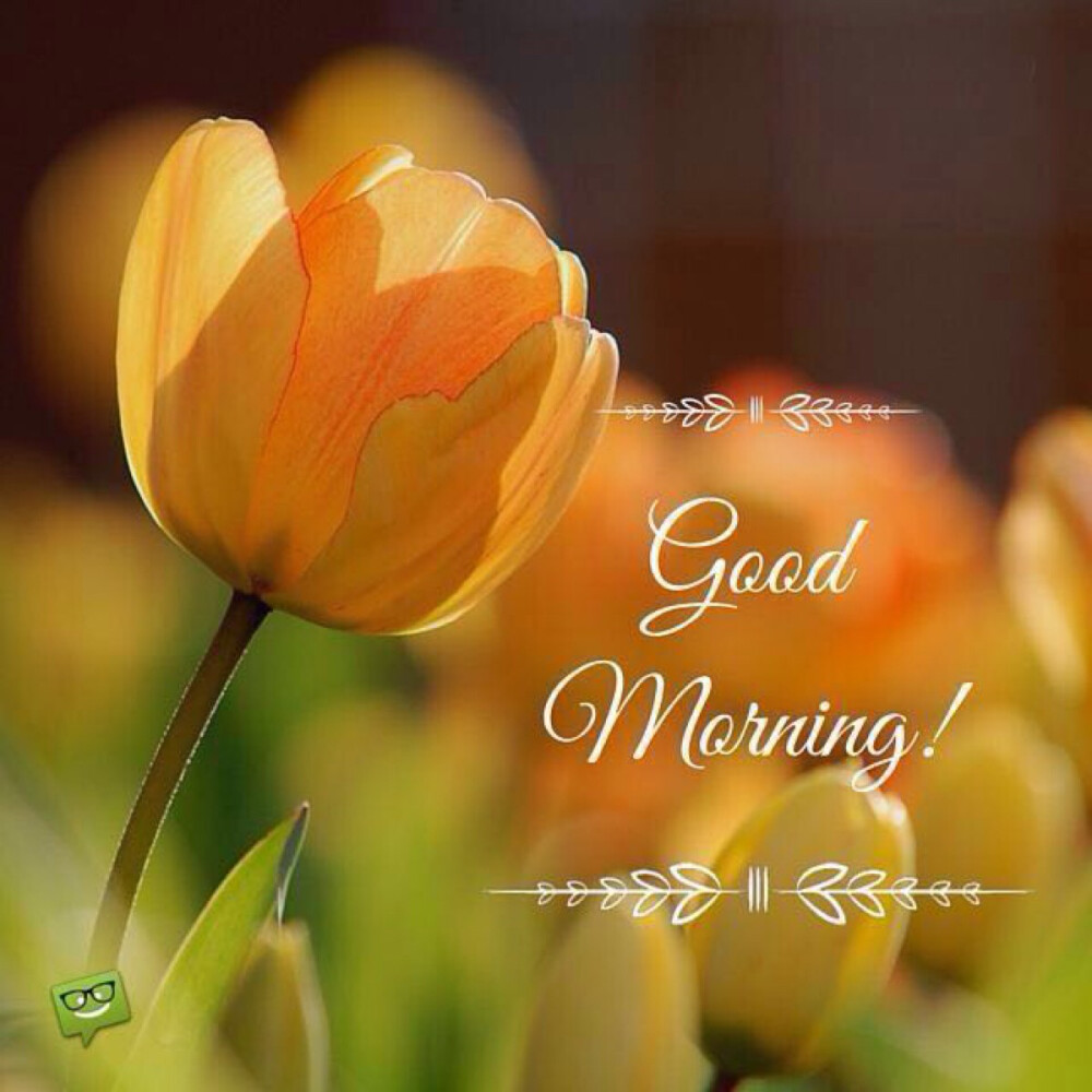 早晨 Good Morning - 高清图片，堆糖，美图壁纸兴趣社区