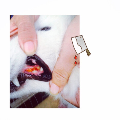 记得那些年的粘牙糖吗