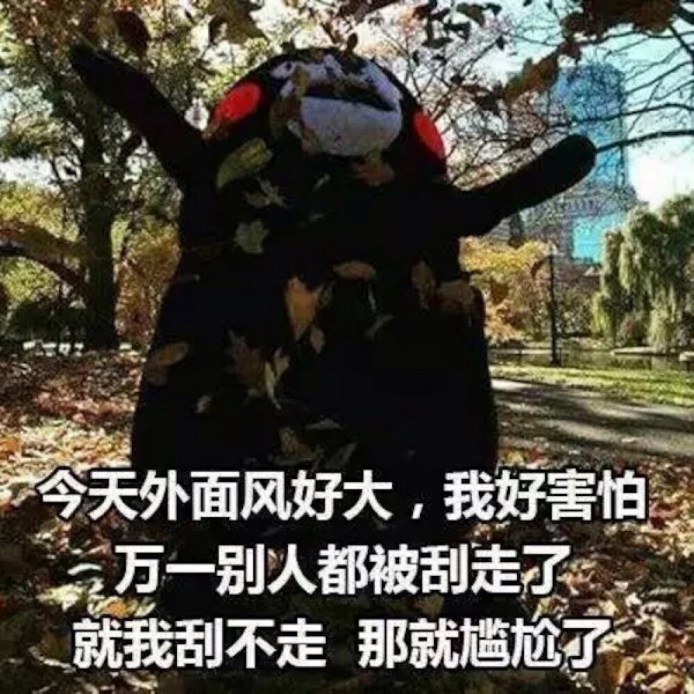 熊本熊表情包by囍念旧_