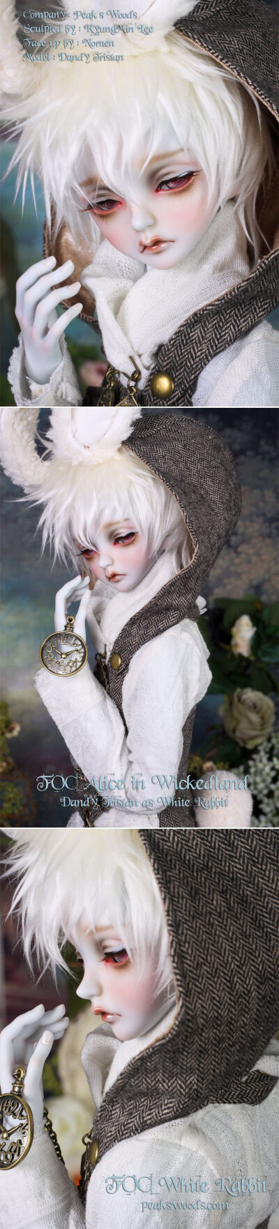 - Korean BJD company PeaksWoods - White Rabbit_ Alice in Wickedland