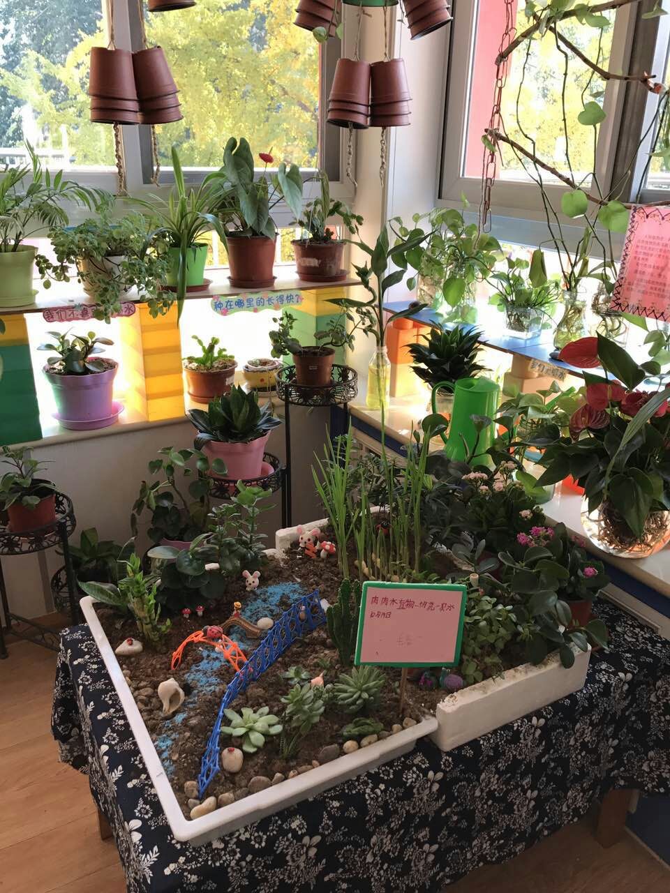 幼儿园环创素材