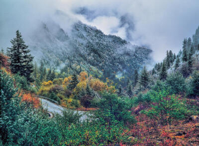 达古冰山景区的彩林，山顶下着雪，山下色彩斑斓，最是独到。