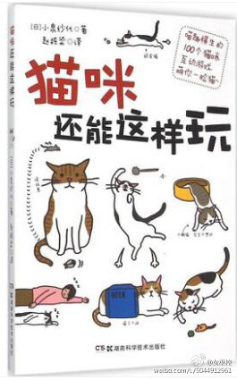 猫咪还能这样玩 新华书店正版畅销图书籍