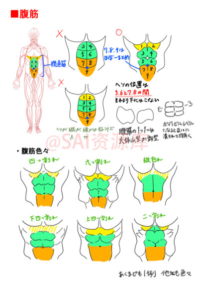 绘画男生人体教程