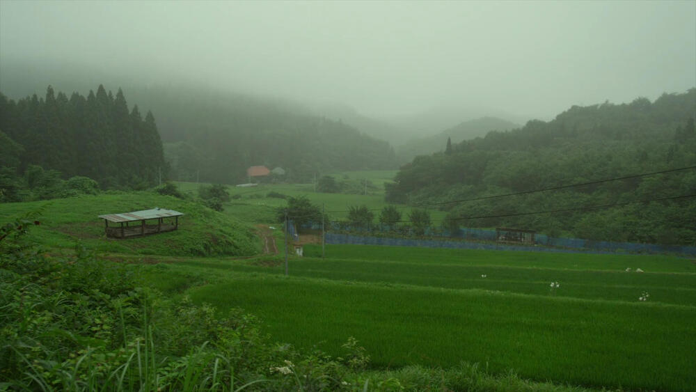 《小森林》夏篇截图