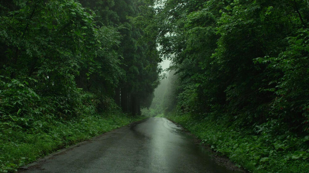 《小森林》夏篇截图