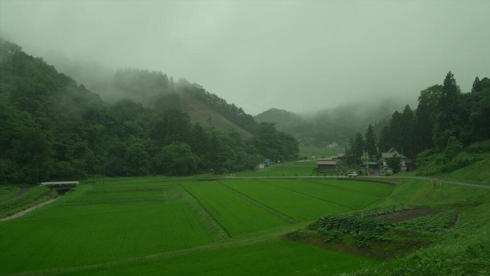 《小森林》夏篇截图