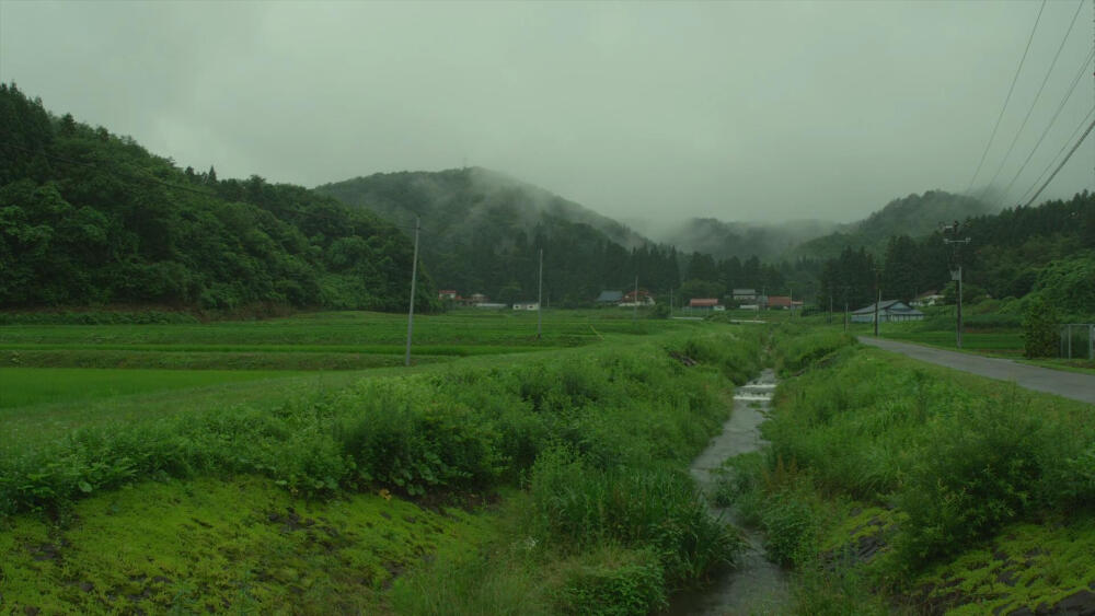 《小森林》夏篇截图