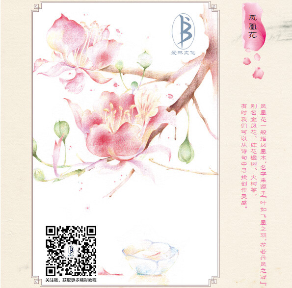 摘自人民邮电出版社出版的《花未央：铅笔素描唯美花之绘》作品——关注“爱林文化”公众号，更多美图、教程等你来！