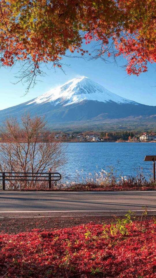 富士山