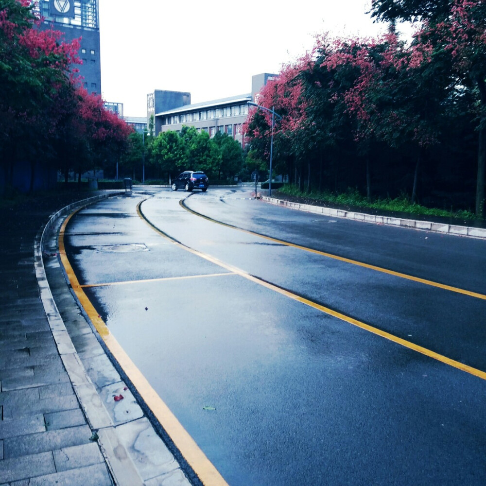 大雨过后的校园