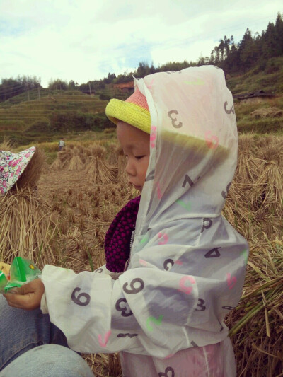 喜欢这个小家伙