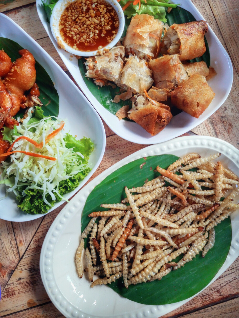 中午在宁曼路上邓丽君生前最爱吃的那家店吃的午饭，味道也是棒棒的。