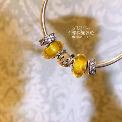 小宇的潘多拉·宠物就像孩子，时时揣在心里，分分陪在身边。小猫咪串珠是不是很可爱？