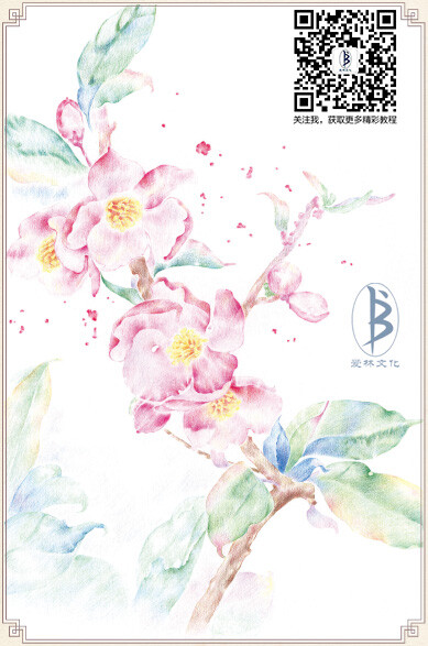 摘自人民邮电出版社出版的《花未央：铅笔素描唯美花之绘》作品——关注“爱林文化”公众号，更多美图、教程等你来！