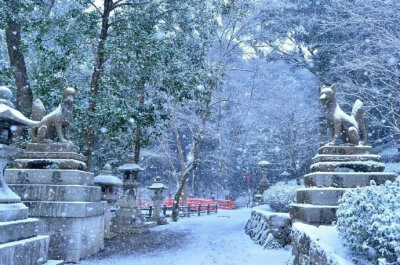 雪中的伏见稻荷神社 雪中的贵船神社