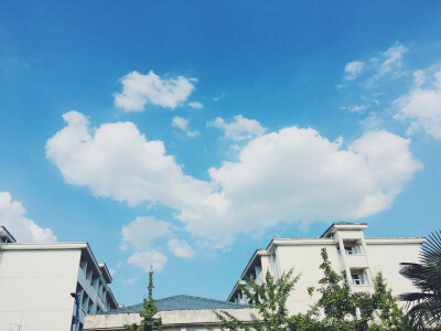 夏天 橘子汽水和你