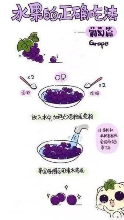 【水果蔬菜】水果的正确打开方式～