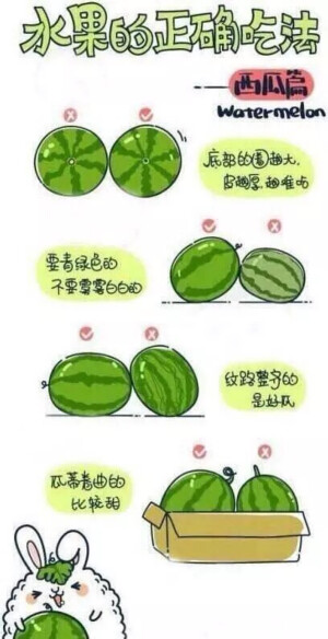 【水果蔬菜】水果的正确打开方式～