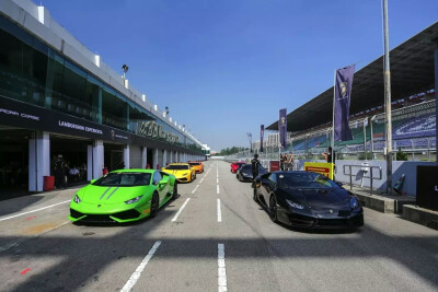 Lamborghini 赛道狂飙【狂暴特写】艺术，设计，写真，特写，旅行，摄影◢超跑，贵族，现代，时尚◢跑车◢街拍，原创，生活，◢意境 ，壁纸，锁屏，酷炫，流行，青年，欧美，◢侵删↣ ...♛by.艾莉薇儿*