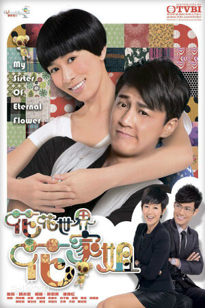 《花花世界花家姐》是香港电视广播有限公司制作的时装电视剧，由林峯、佘诗曼领衔主演，陈维冠导演、关永忠监制，梁恩东、潘漫红编剧。此剧为2011年TVB节目巡礼剧集之一[1]  。
主要描写善良单纯的只有十岁小孩智商的花家姐（佘诗曼饰）遭遇“落难王子”蒋奕（林峯饰），所发生的浪漫又爆笑的故事[2]  。2011年5月16日至6月10日TVB翡翠台和高清翡翠台播出。