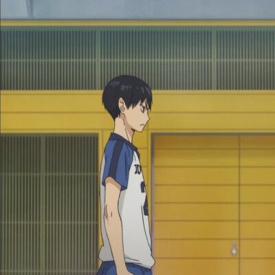 自截头像 方形 轻侵 排球少年hhh
小可爱的寒桑w欢迎关注(ฅ>ω<*ฅ)