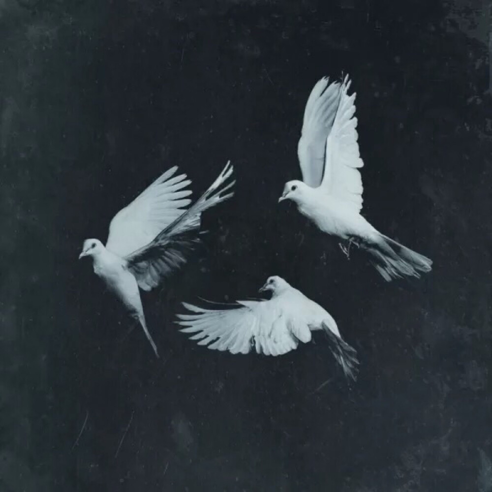 Pusha T- Untouchable-20151213