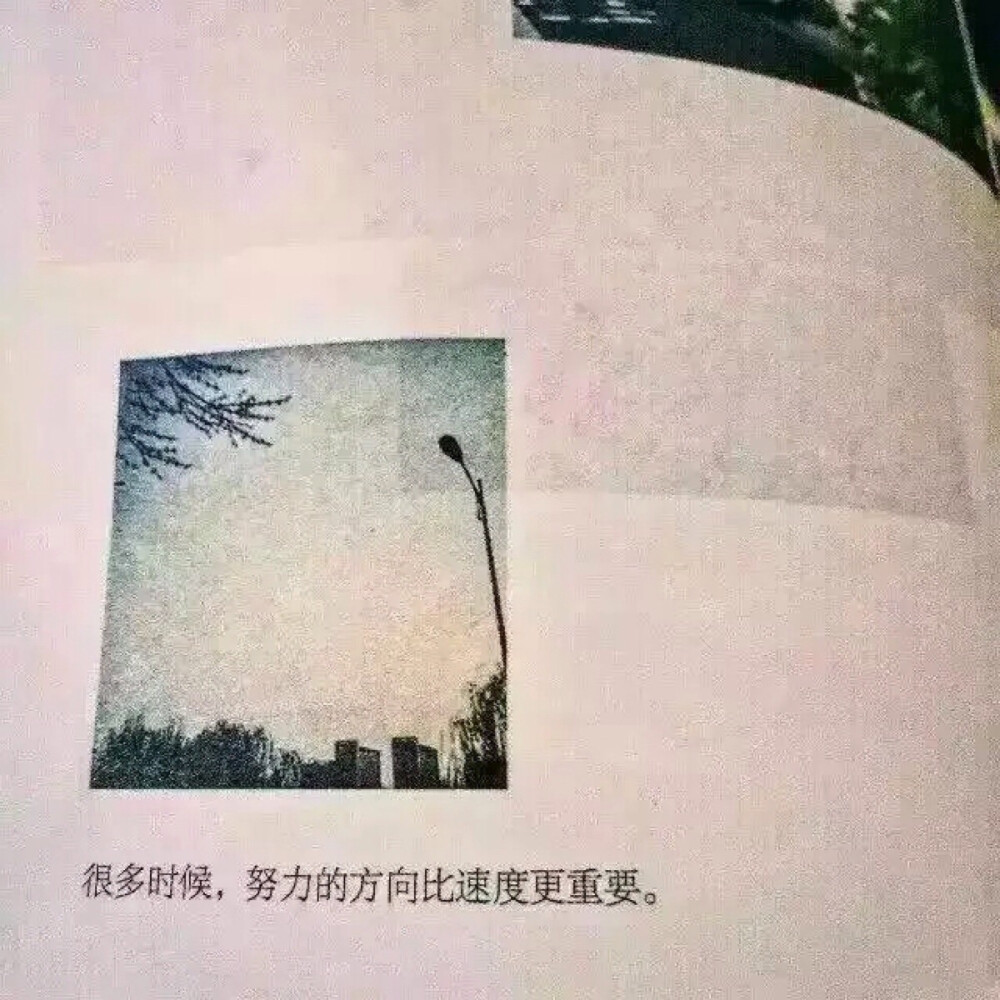 在追求梦想的路上 我们都一样