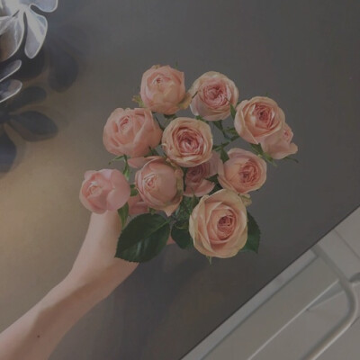 没有风的日子，云是雨的守望；没有梦的日子，等待会荒废时光。