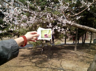 没有风的日子，云是雨的守望；没有梦的日子，等待会荒废时光。