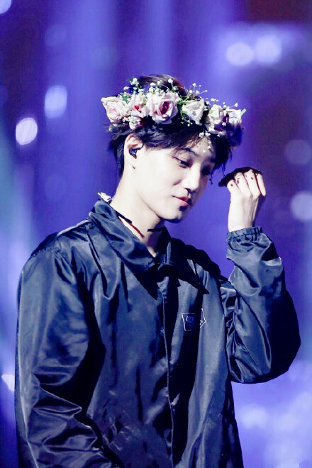 EXO KAI 花环