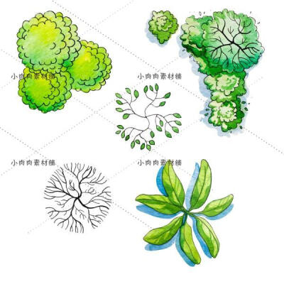 其他卖家的主图视频