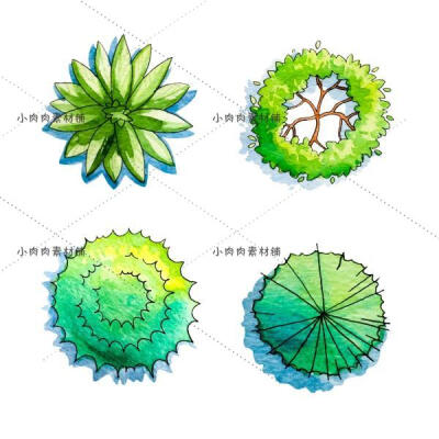 其他卖家的主图视频