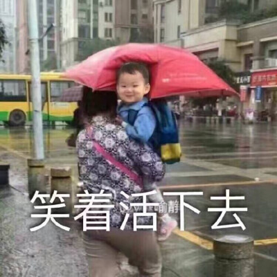 如果不是长的丑，谁又想当段子手。共勉