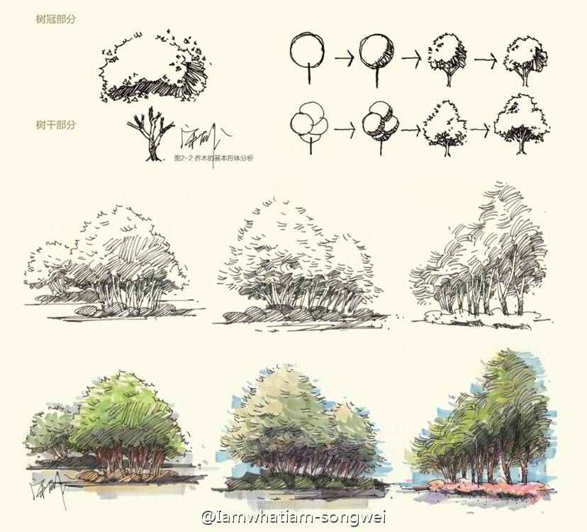 植物手绘的正确打开方式】线稿：Lamy钢笔、f尖；颜色：touch马克笔+辉柏嘉 （投稿：@Iamwhatiam-songwei ）