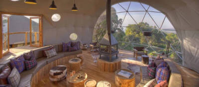 坦桑尼亚树屋 阳光 风景 房子