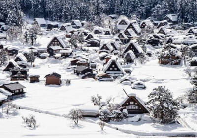 迷人的童话式冬景，日本白川乡合掌村。