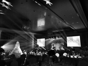 雷迪森-by蔡中妍