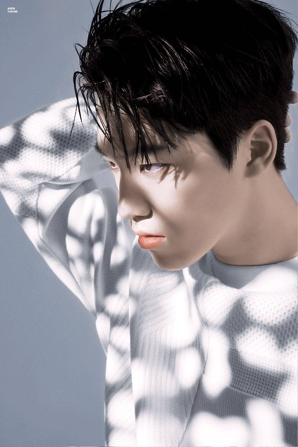 dark_seventeen##day_and_night##for_the_next_story_of_17# 成员