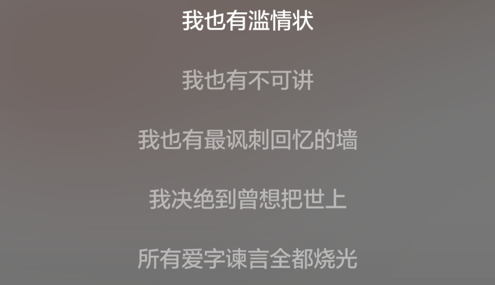 我也有滥情装我也有不可讲/歌词/《国境四方》